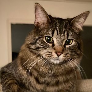 Meet your Posher, Jen